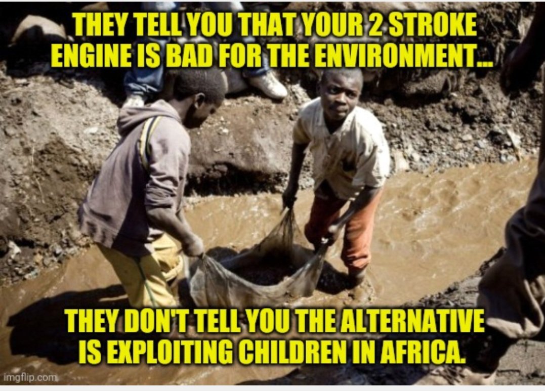 Evangeline tweet media