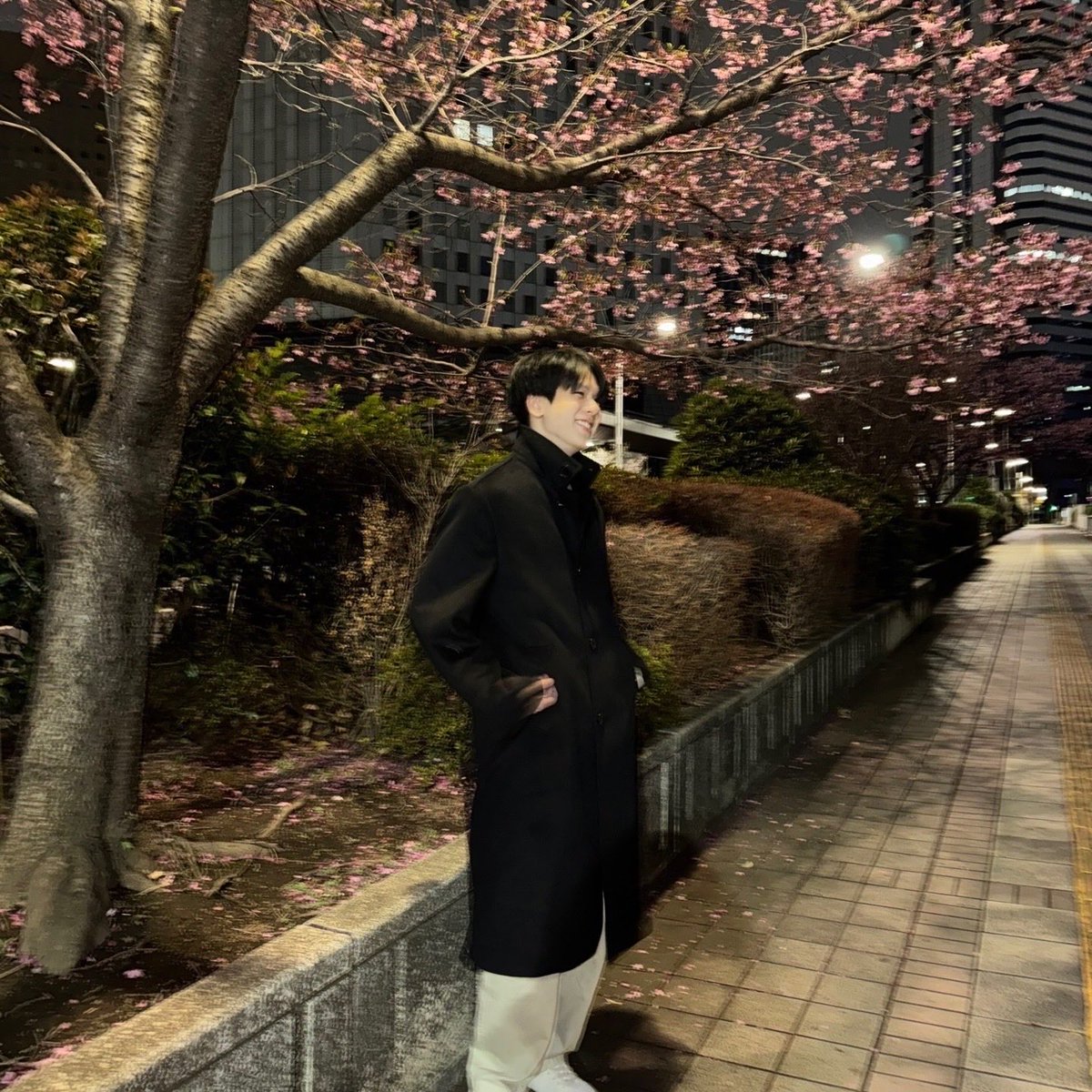 พอร์ชโพชิ tweet media