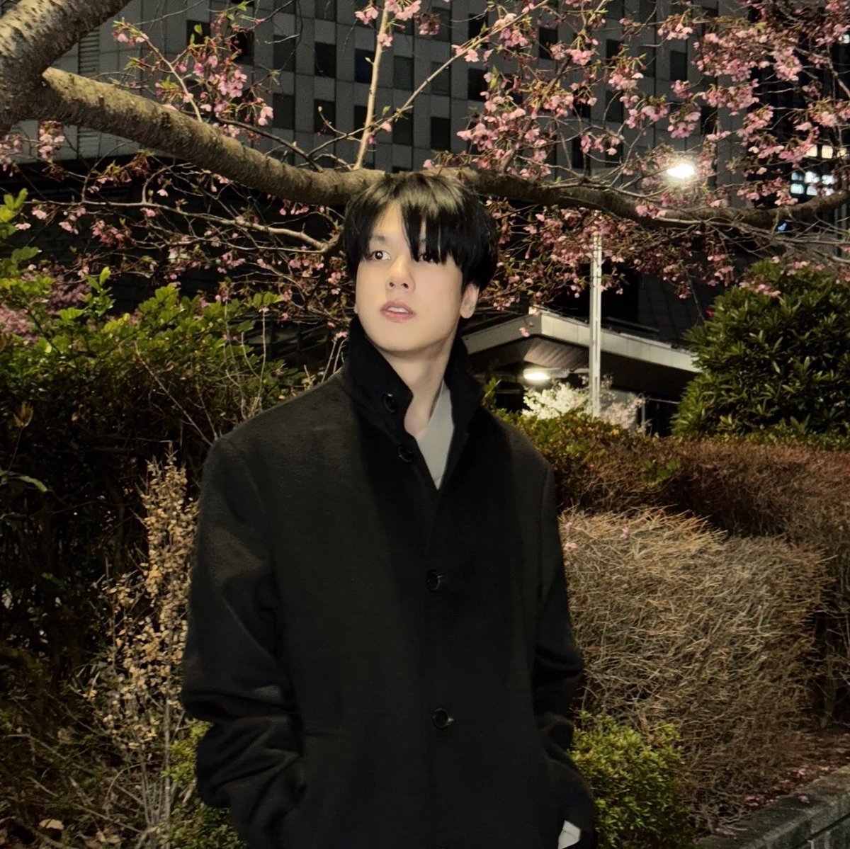 พอร์ชโพชิ tweet media