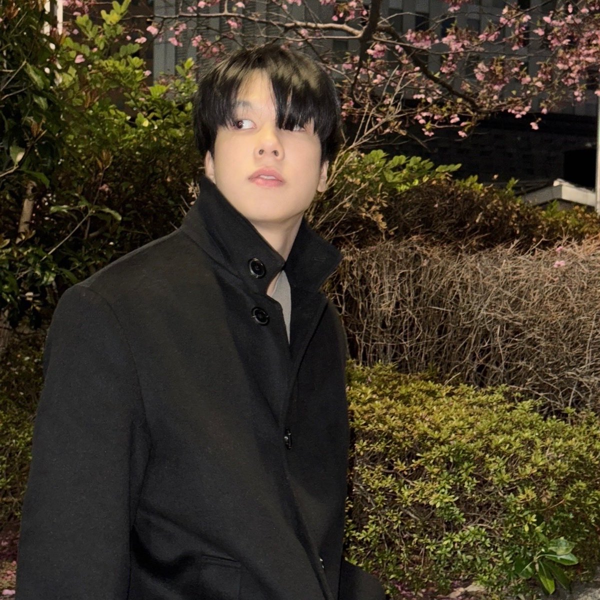 พอร์ชโพชิ tweet media