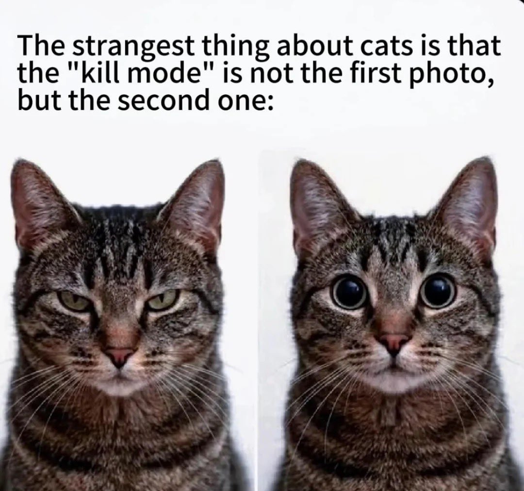 NO CONTEXT HUMANS tweet media