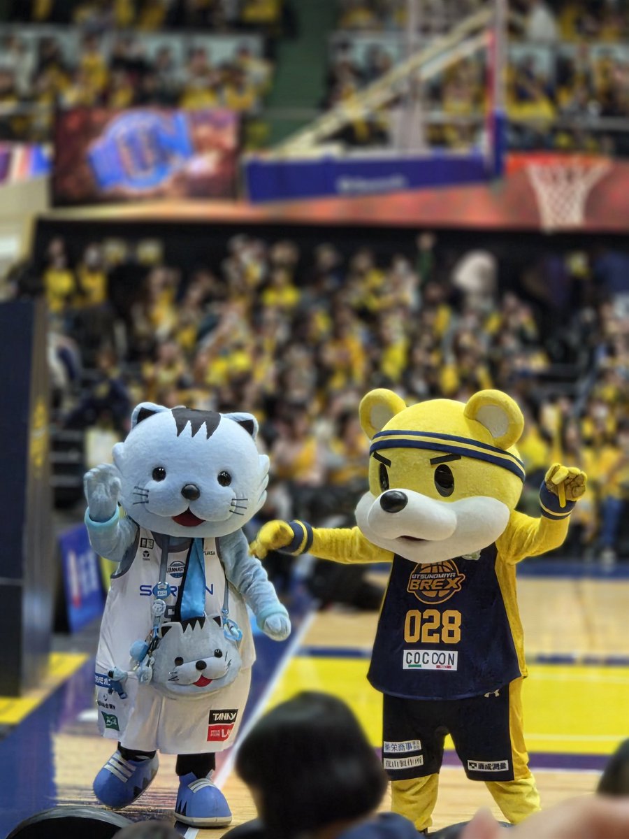 rasata130322's tweet photo. キャラ多いDAY
#ブレッキー
#はんニャリン
#ニャンまげ
#よ防さん
#BREX https://t.co/TwyMgFtCjv