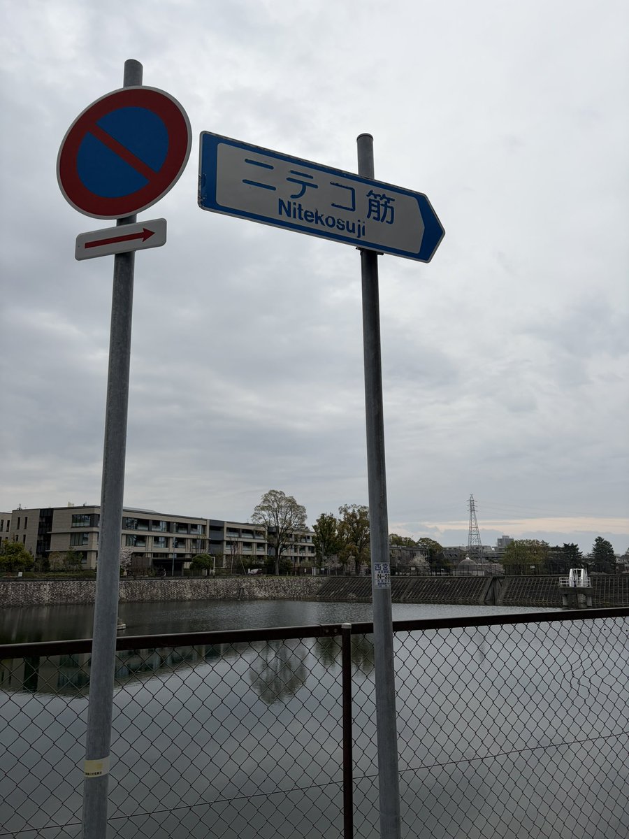 ヤーシブ(ボチボチ再始動) tweet media