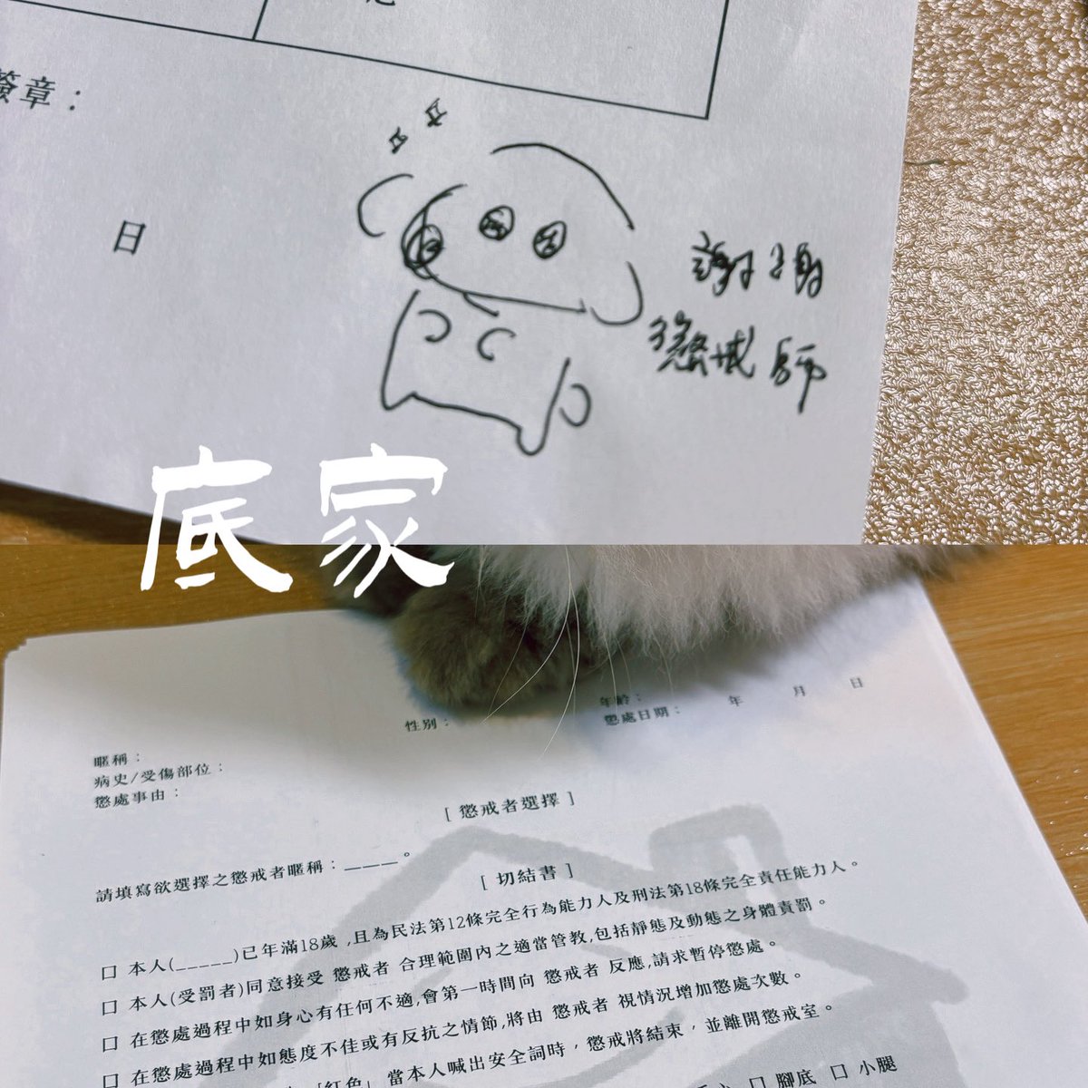 【4/3-4/4 懲戒SP交流&amp;懲戒所—對不擠我錯惹】<a href="/CYJ230115/">J</a> <a href="/xbdsm20240214/">黑衣</a> 
感謝阿蔣&amp;黑衣來底家進行懲戒SP的交流
第一天的交流會更了解懲戒的意義
是原諒自己的一種方式並非對不起誰
除了懲戒方式外也分享了一些體罰姿勢
原本想要大家一起跟著體驗體罰
但礙於都太害羞了只好有請示範小幫手