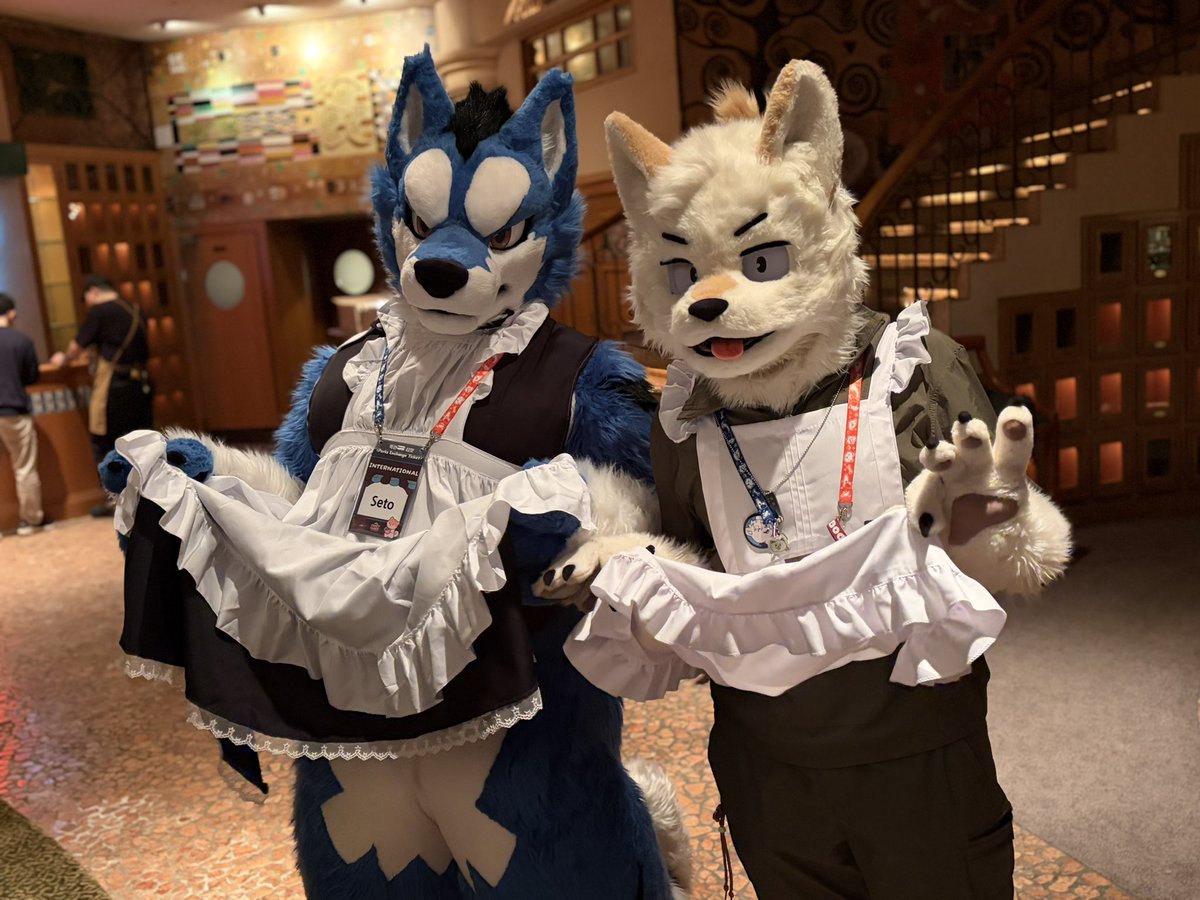 근쿠🔜FURST CLASS tweet media