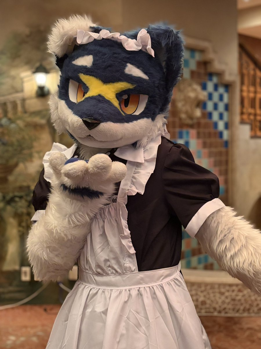 근쿠🔜FURST CLASS tweet media