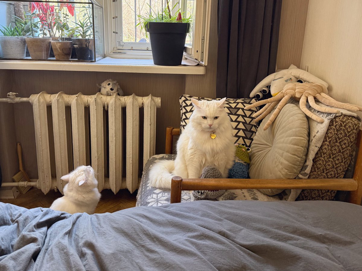 Wicked witch of the West tweet media