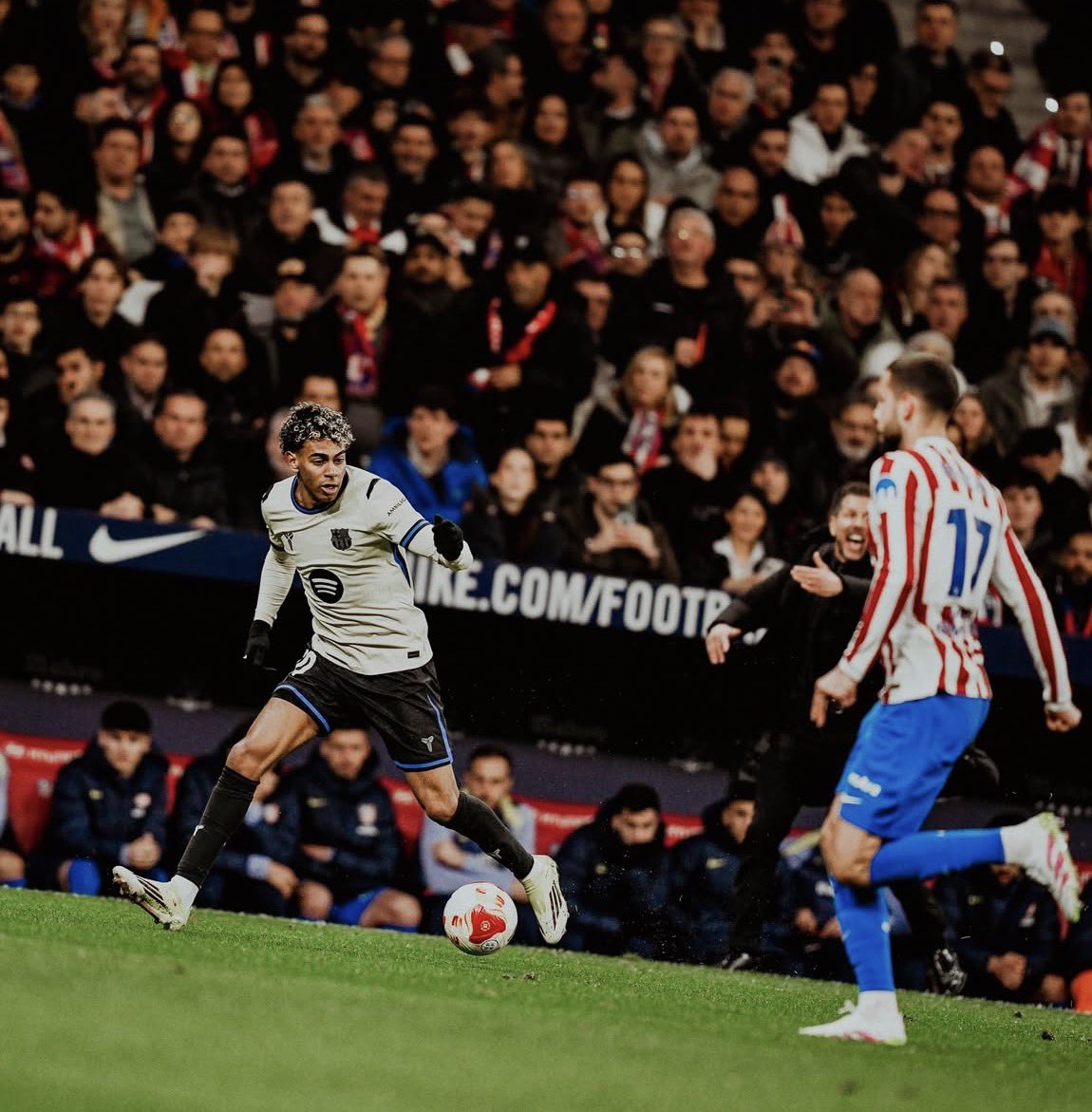 عبدالمحسن. tweet media