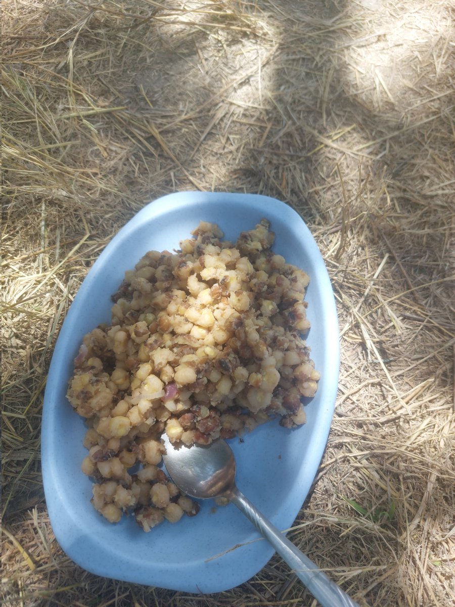 Frankology😎 tweet media