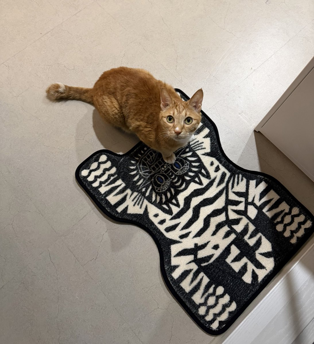 홍성우 hongsungwoo tweet media