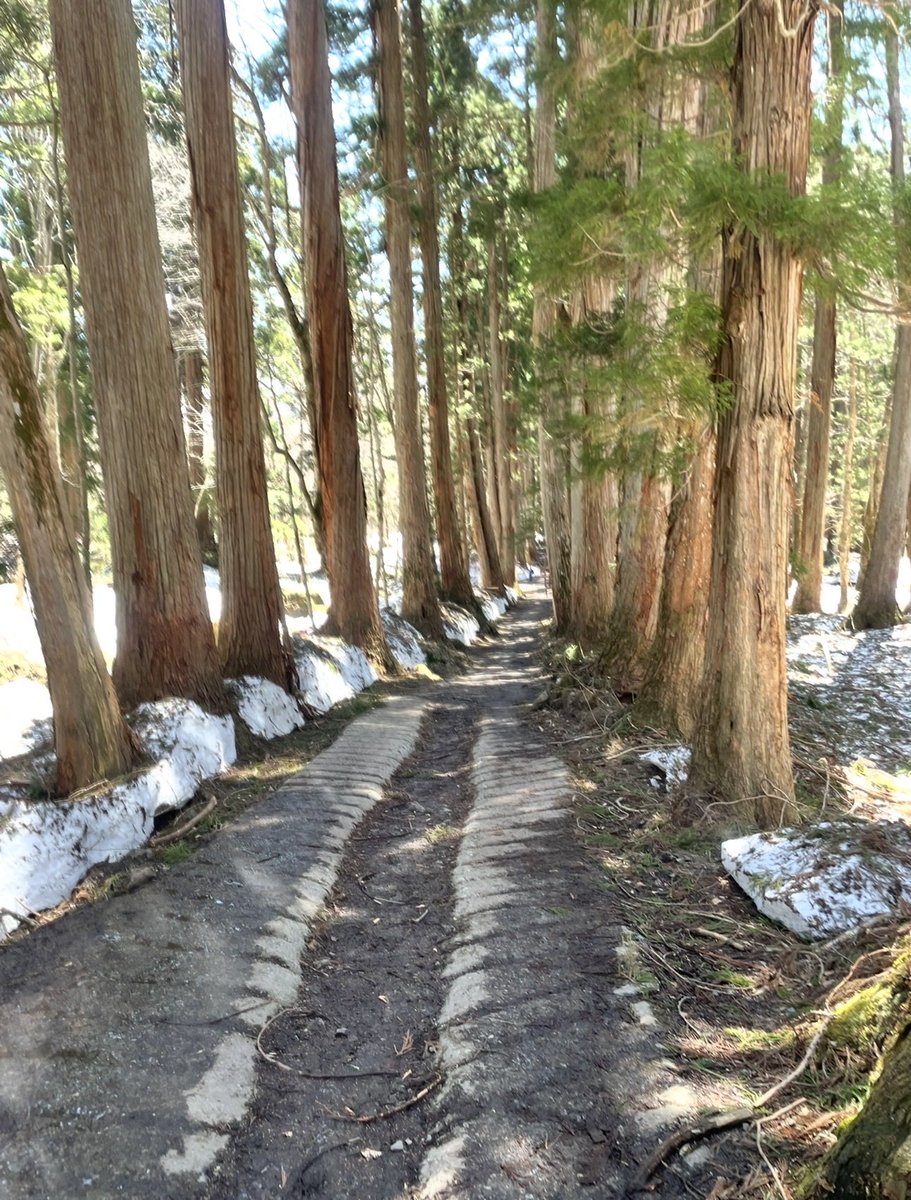 あおい tweet media