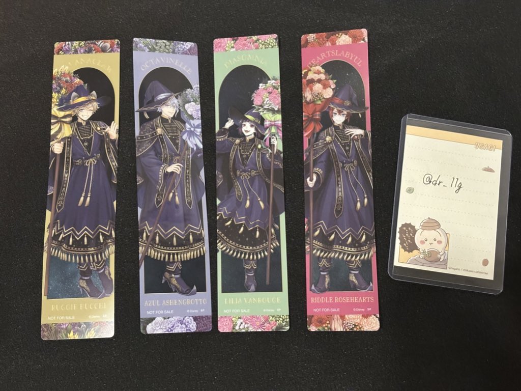 ねこ🐾 tweet media