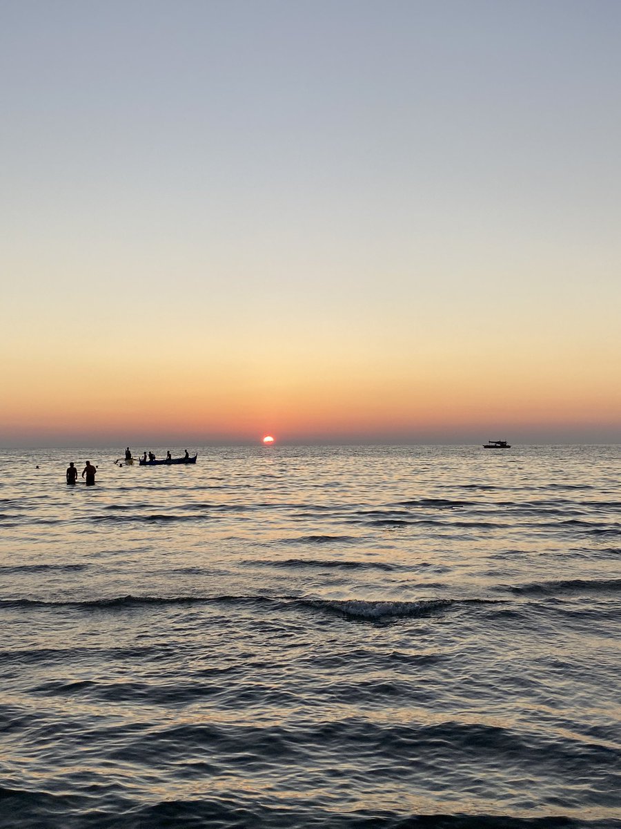 travisjc tweet media