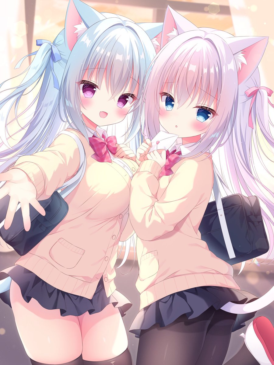 ねこぼしゆき tweet media