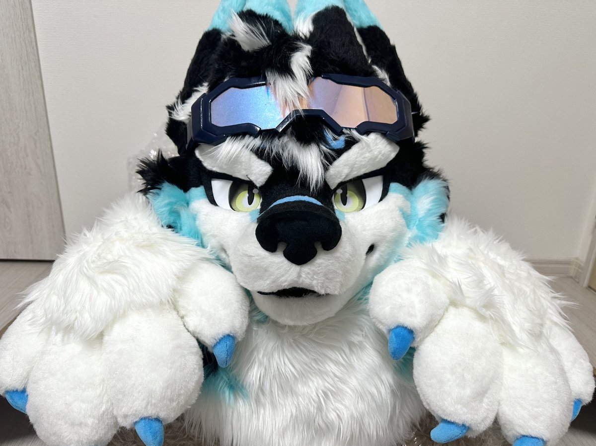 きらもふ✨️ tweet media