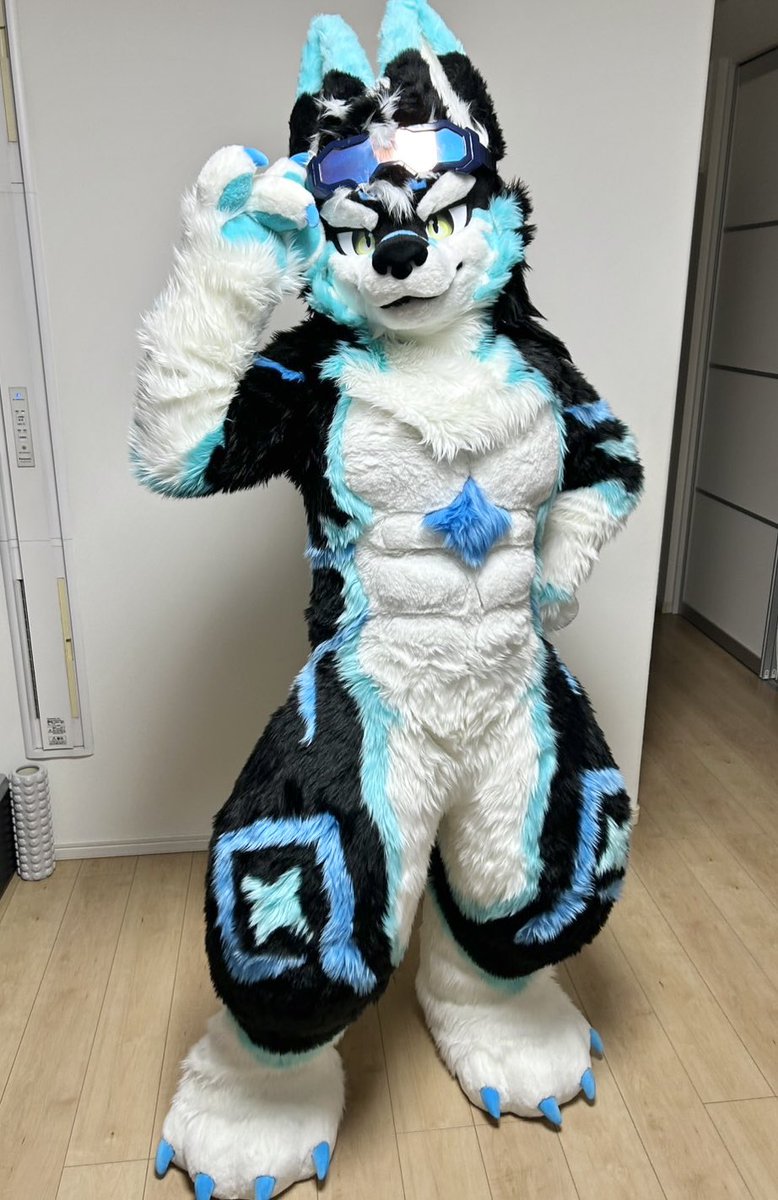 きらもふ✨️ tweet media