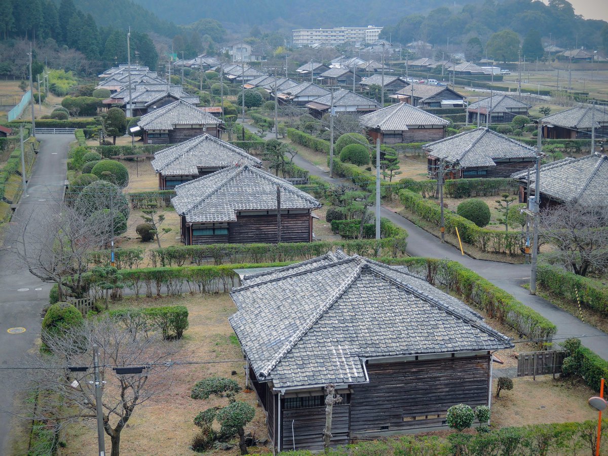 ニュー伊吹 tweet media