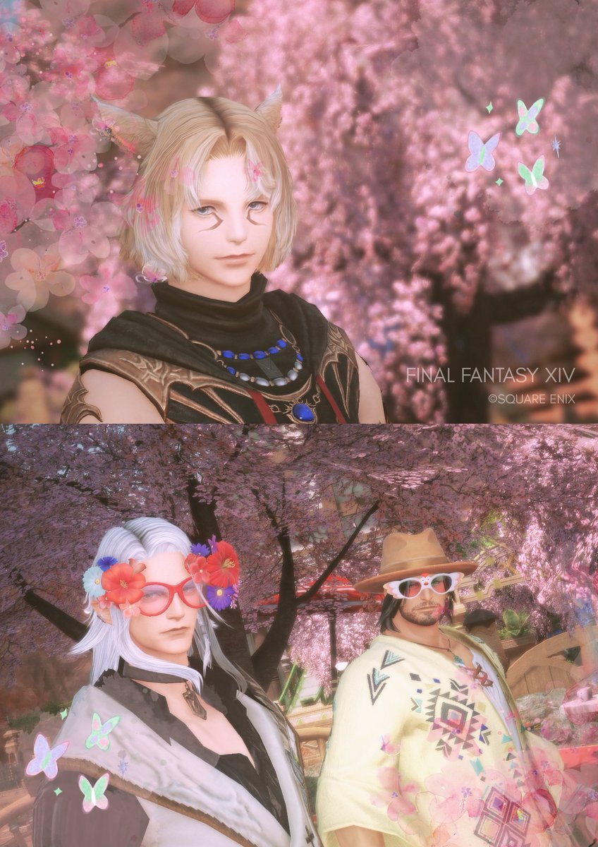 P＆もとお 🜸Mandra tweet media