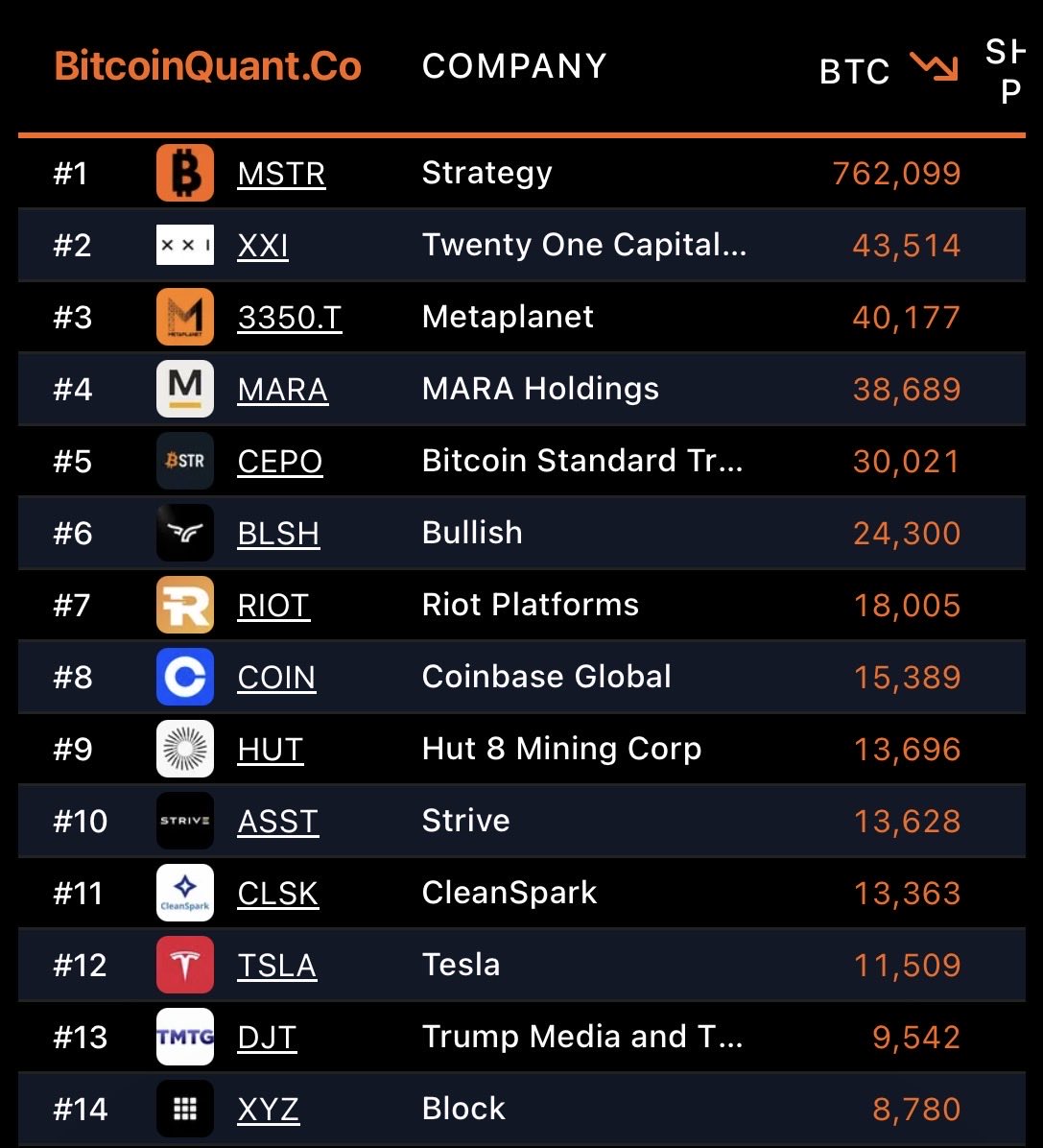 The ₿itcoin Therapist tweet media