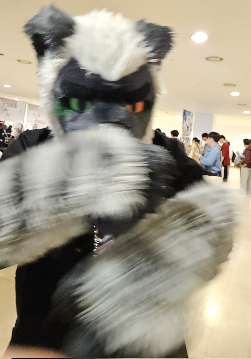 이누기 tweet media