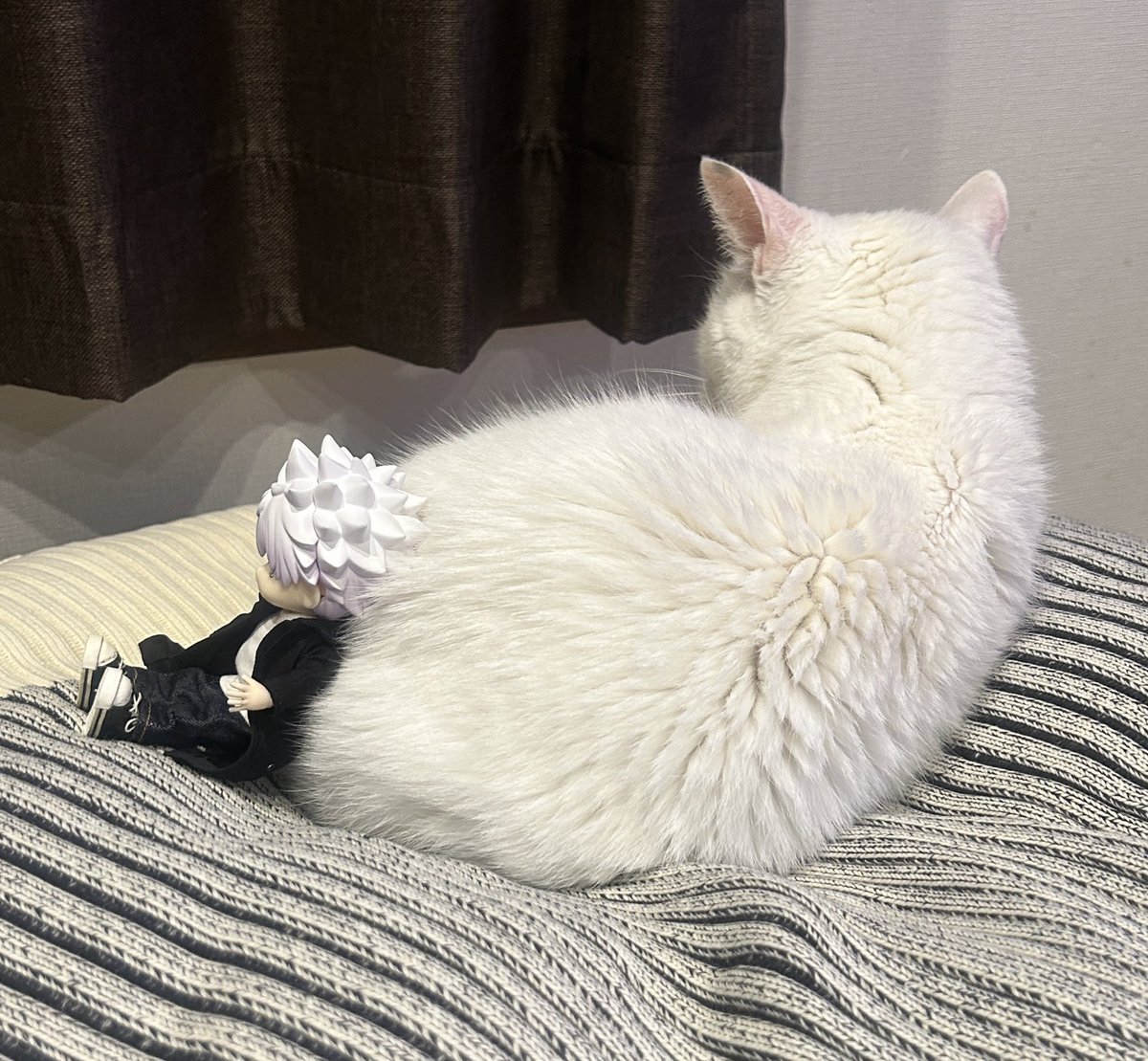 カヌレ tweet media