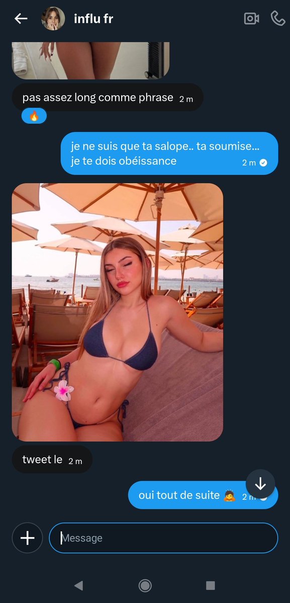 Lumino7 / Xena (nom de chienne de Ilias) tweet media