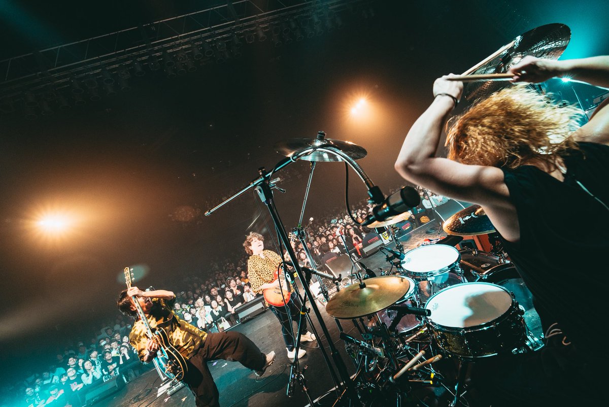 TOTALFAT tweet media