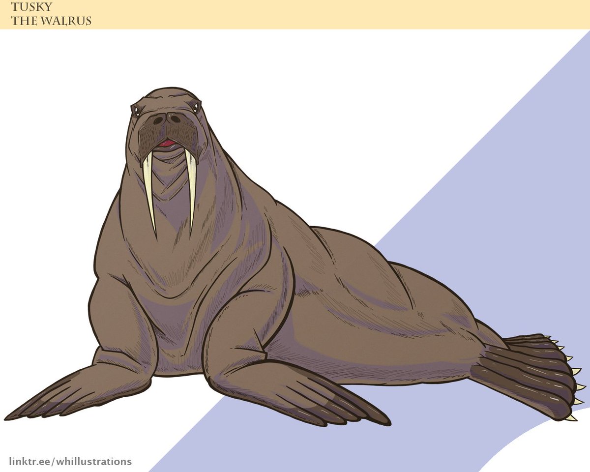 Watermelonhead tweet media