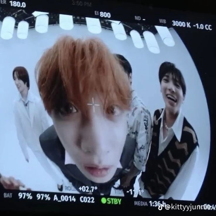 _deargyu's tweet photo. 저눙물지않는착냥이에여<< 라고 어필하는것같움귀여워ㅠㅠ https://t.co/cffHsJNMUc