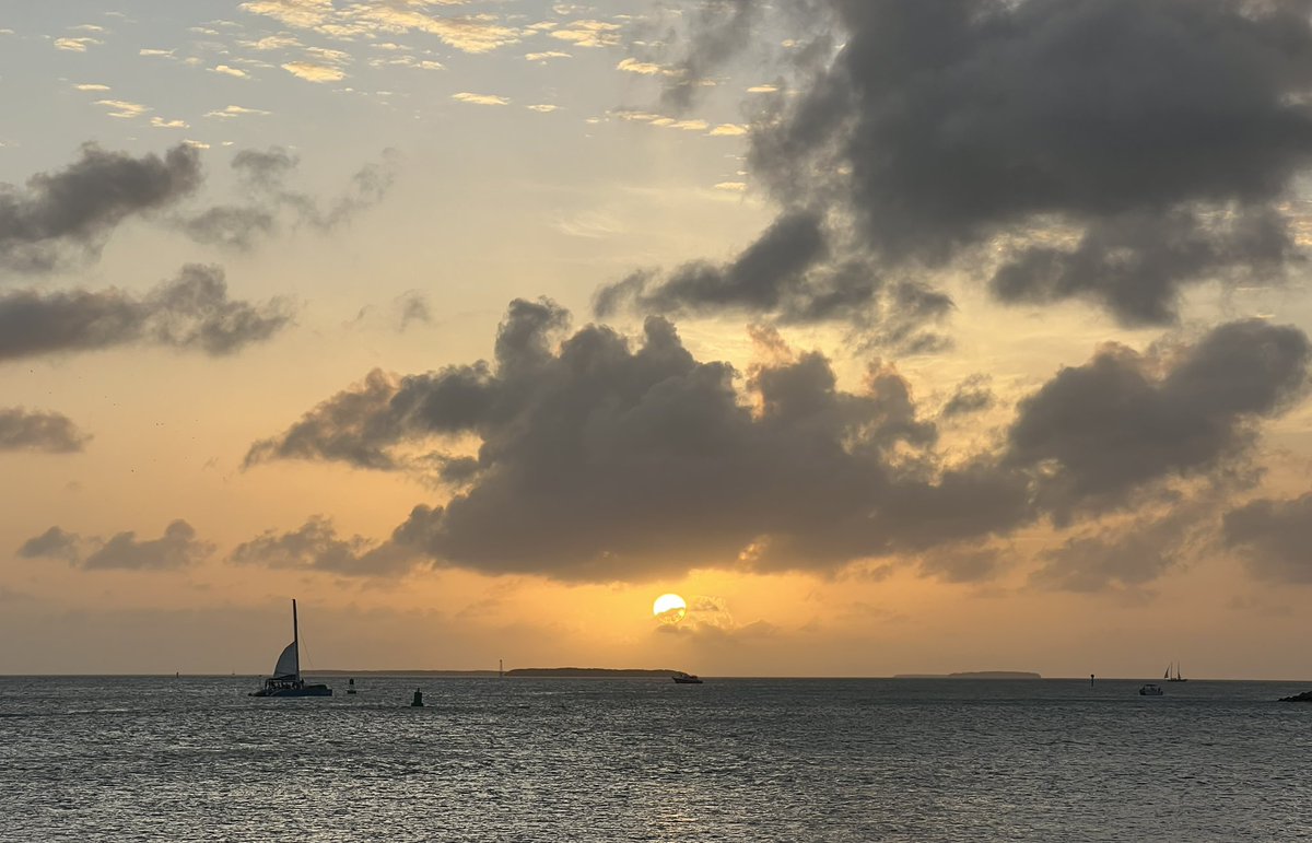 Amy☀️ tweet media