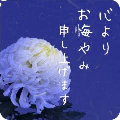 Animo。 tweet media