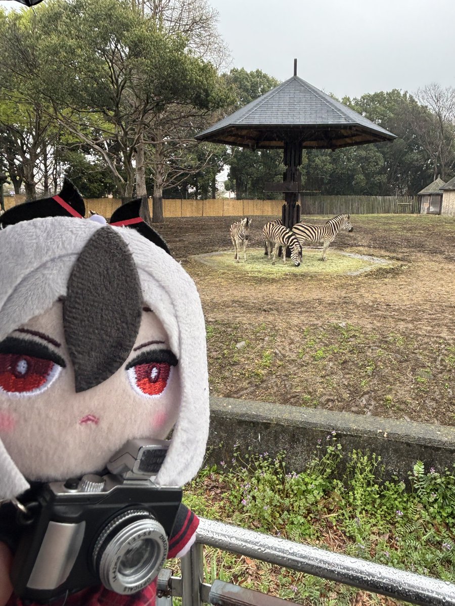 累(るい) tweet media