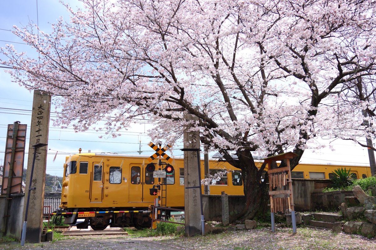 JR備後 tweet media