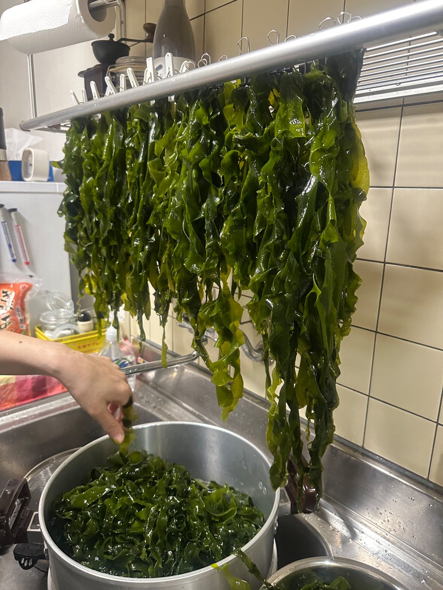 🐬TAMA2000🐬 tweet media