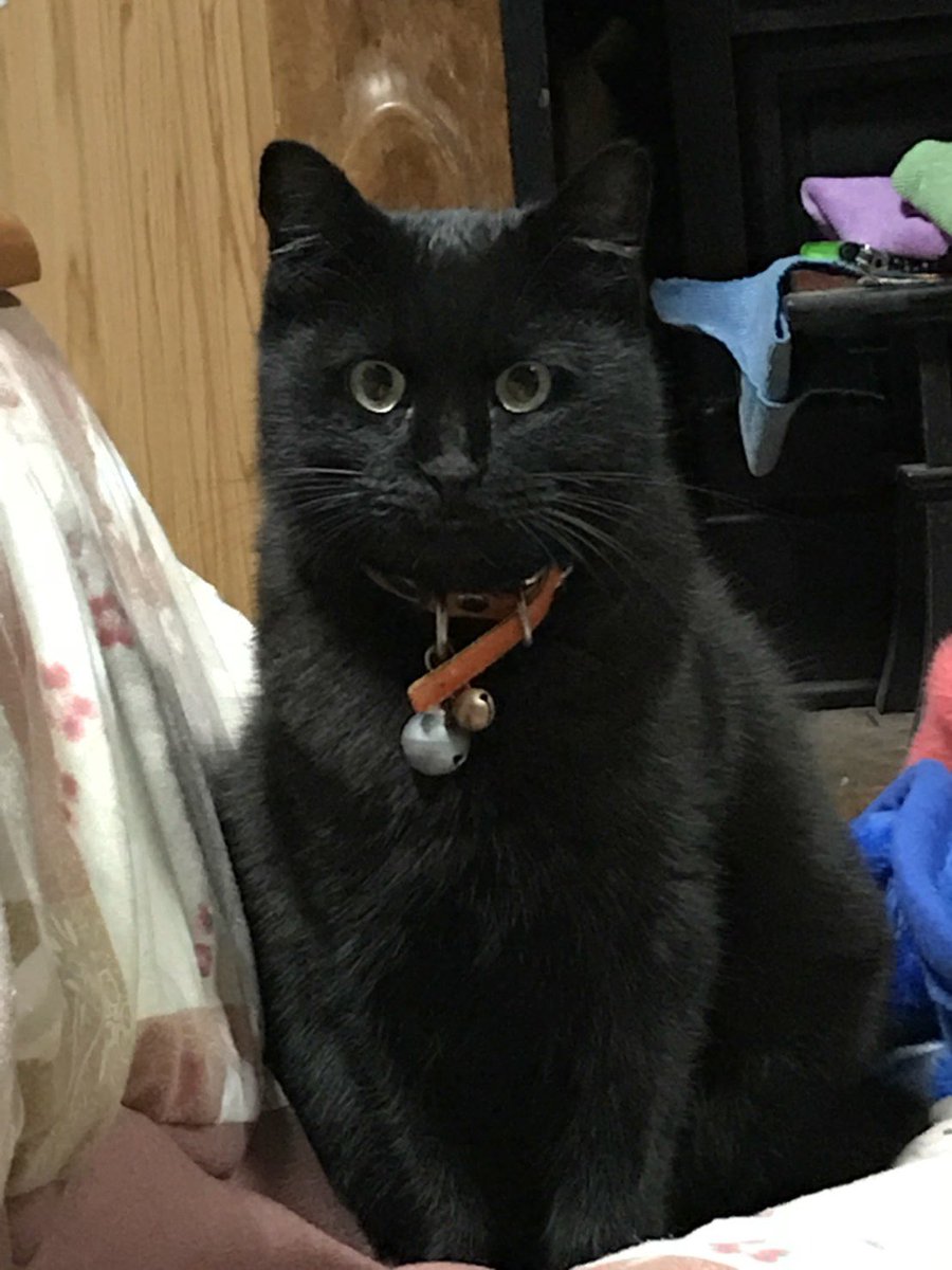 かたぴぃ tweet media