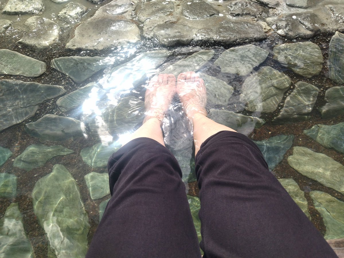 毎日健康飲酒ダイエット tweet media