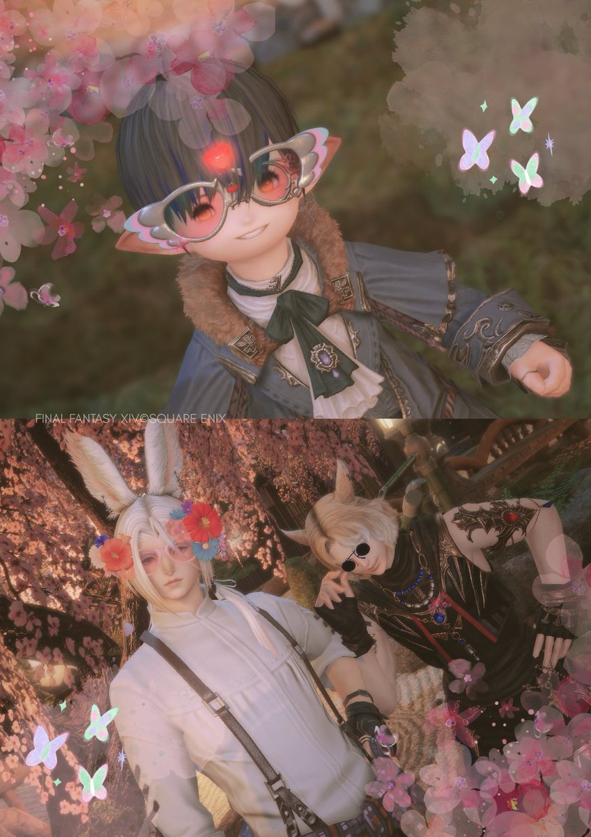 P＆もとお 🜸Mandra tweet media