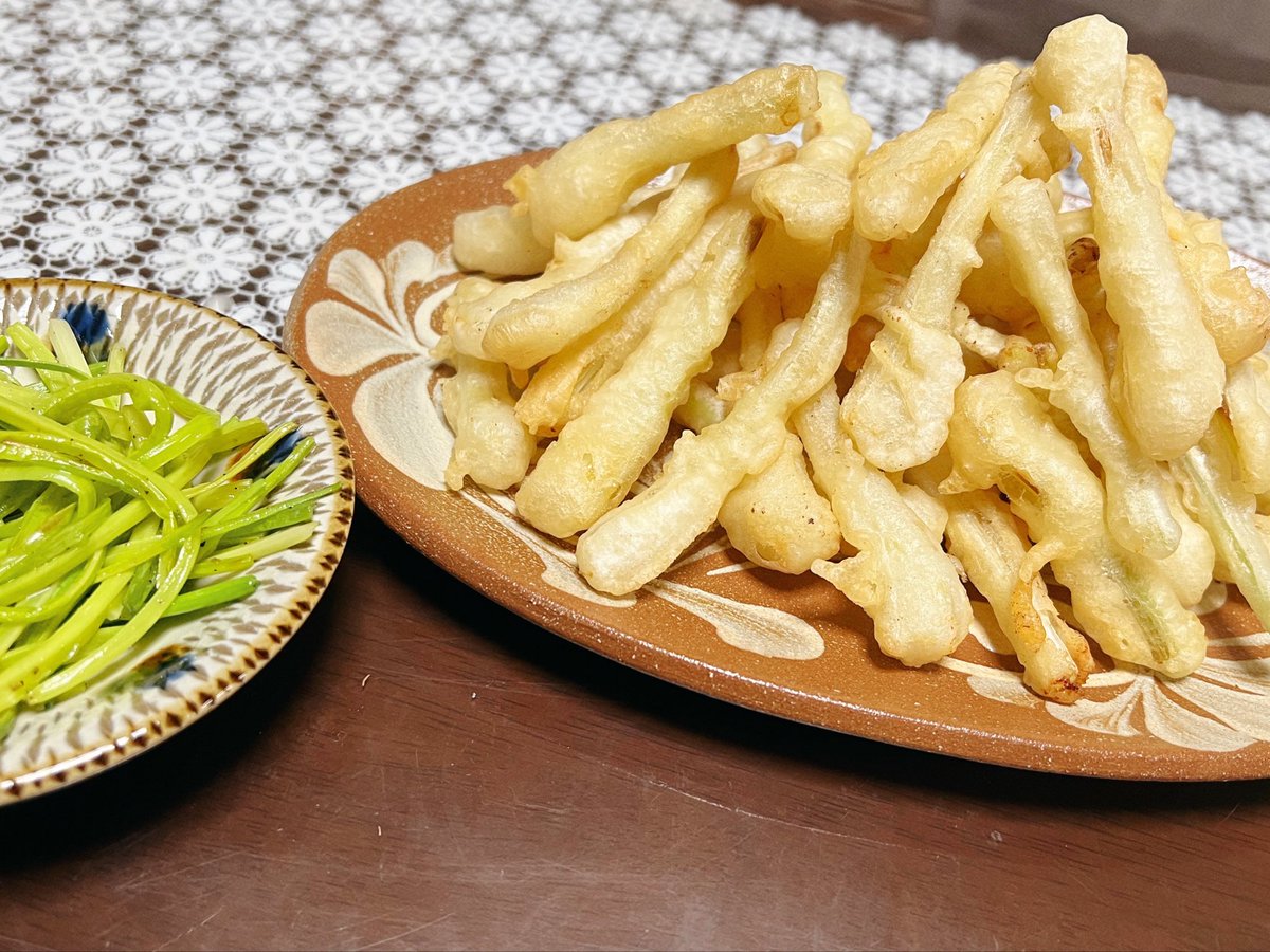 ねこみみ𓏲𓎨 tweet media