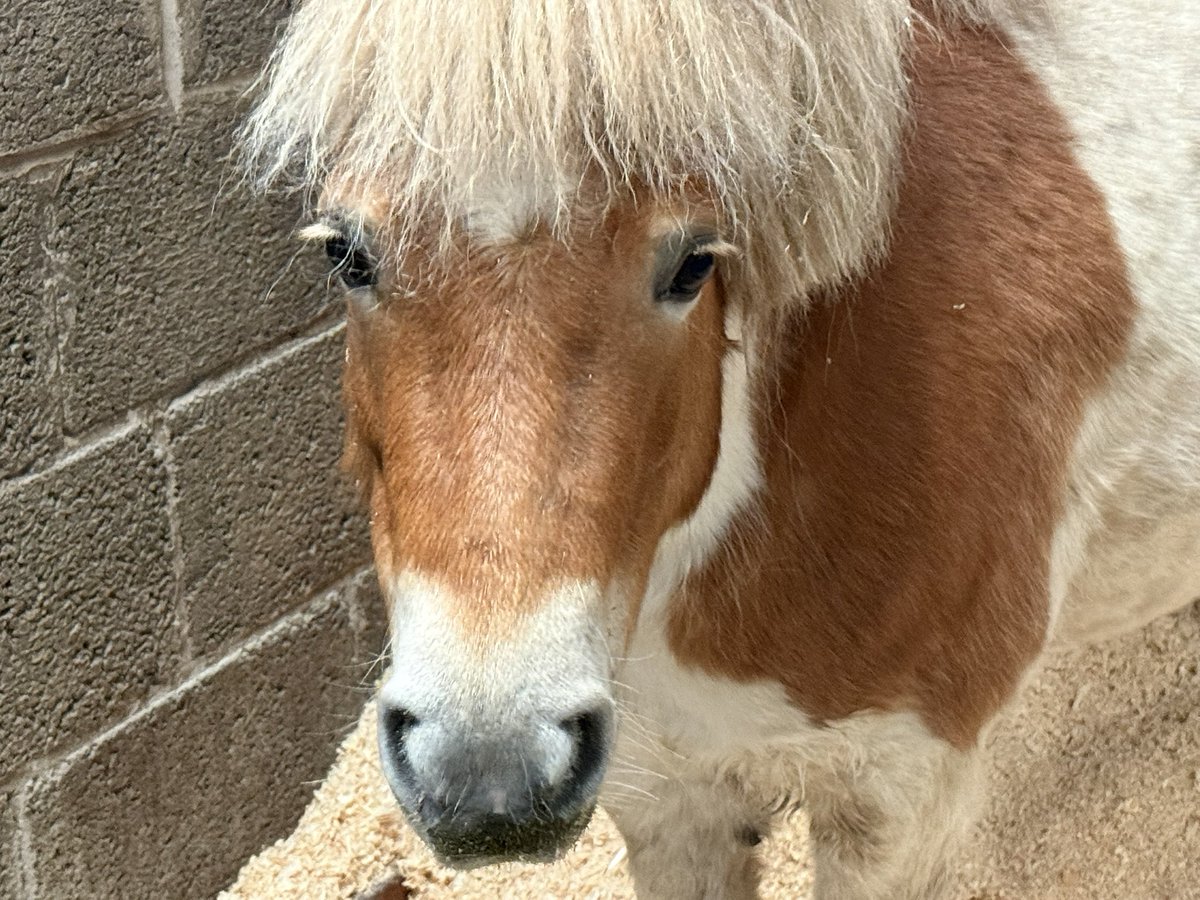 john lawrie tweet media