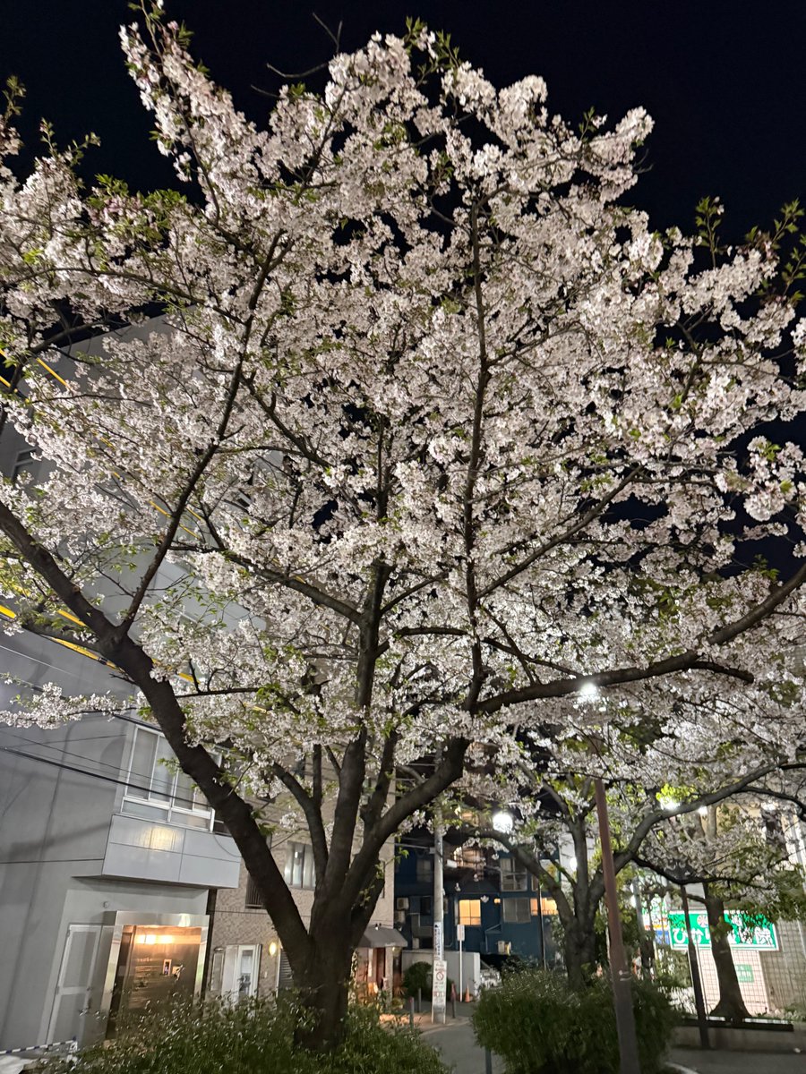 shijukara (@__pav5678__) on Twitter photo 