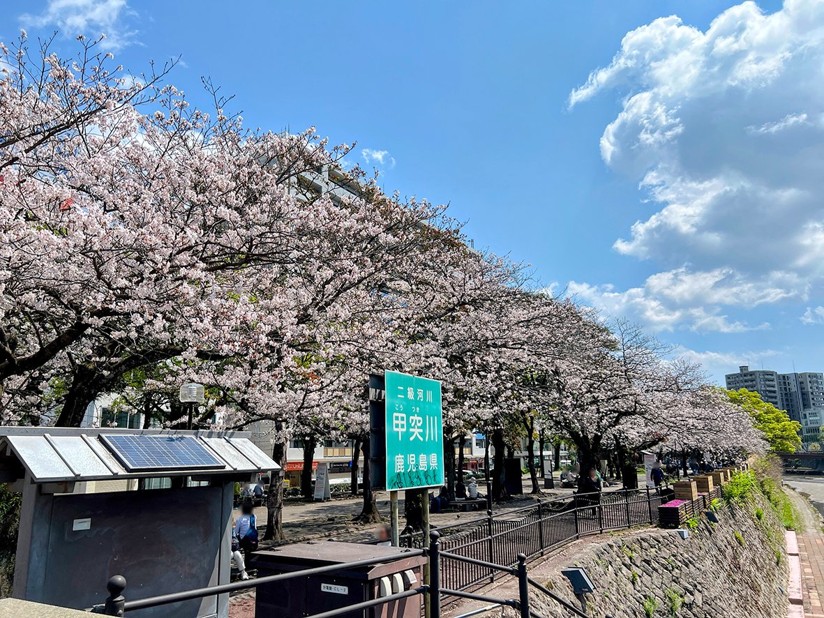 エルデザインプラス｜鹿児島｜デザイン事務所 tweet media