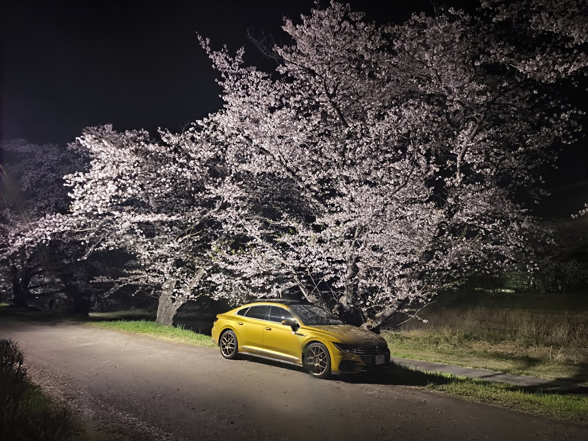 aSoulArteon's tweet photo. #愛車と桜
夜桜ver
#アルテオン
#Arteon
#ラーメン https://t.co/X2LRKVQCmA