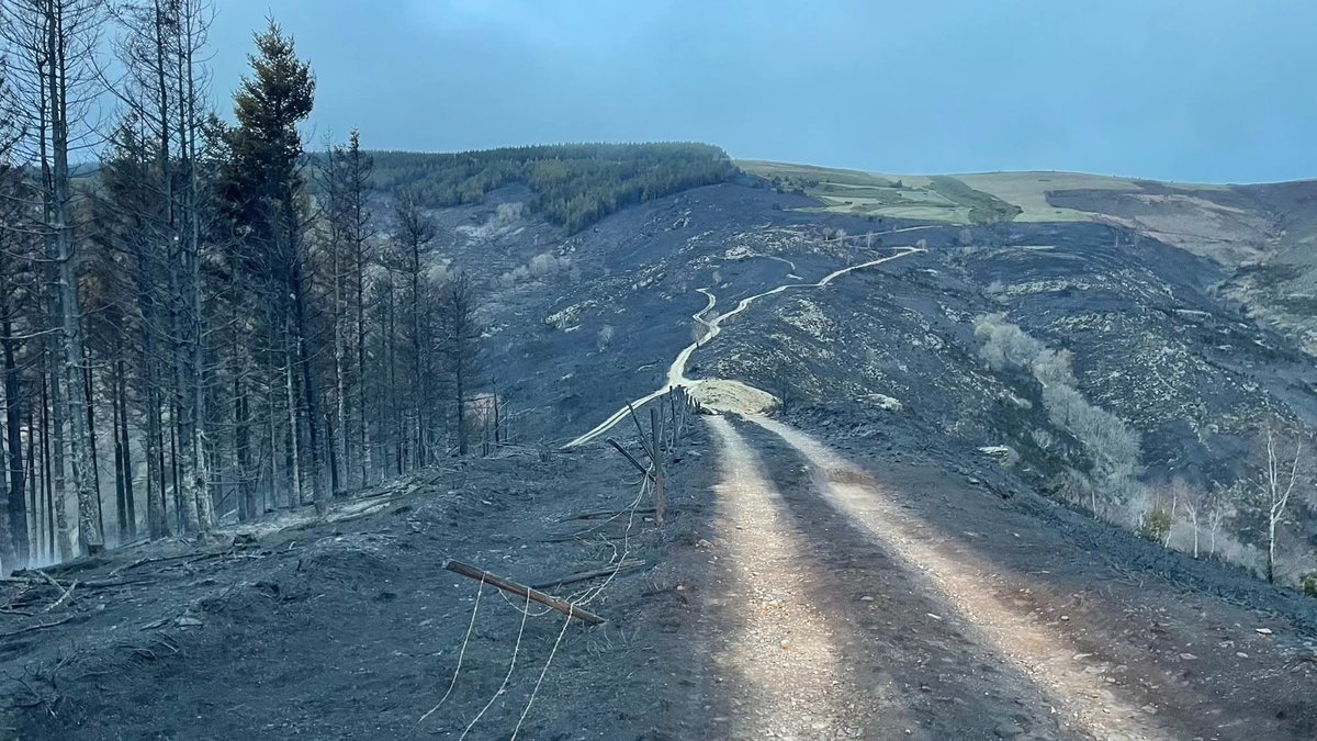 asso_psfdf's tweet image. 🔥 Incendie à #Altier en #Lozère 

Ce vendredi 3 avril, peu avant 17h, un violent feu d’espace naturel s’est déclaré sur la commune d’Altier, favorisé par un vent soutenu et tourbillonnant.

➡️ Le feu a parcouru environ 110 hectares avant d’être fixé aux alentours de minuit.

➡️