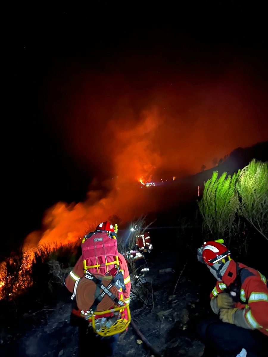 asso_psfdf's tweet image. 🔥 Incendie à #Altier en #Lozère 

Ce vendredi 3 avril, peu avant 17h, un violent feu d’espace naturel s’est déclaré sur la commune d’Altier, favorisé par un vent soutenu et tourbillonnant.

➡️ Le feu a parcouru environ 110 hectares avant d’être fixé aux alentours de minuit.

➡️