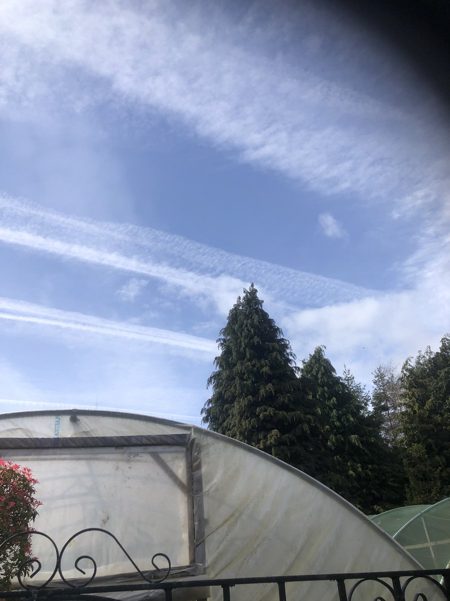 Bill White Nurseries🌸 tweet media