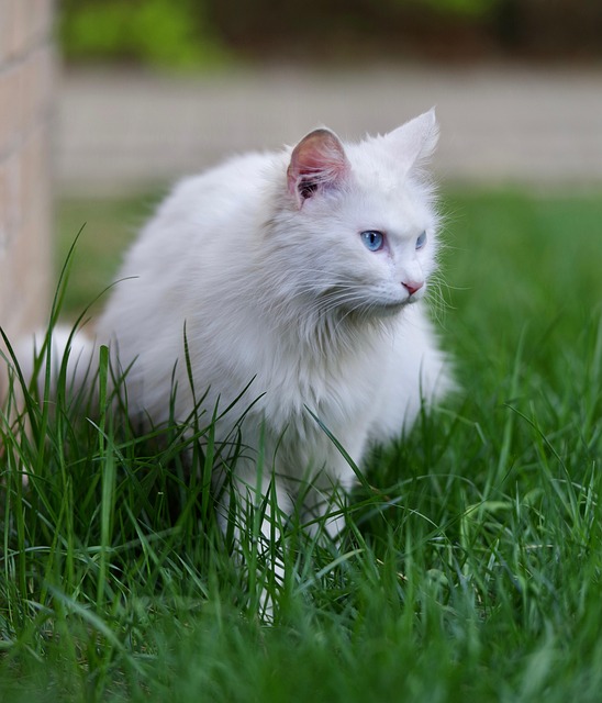 Lindsay Moon tweet media