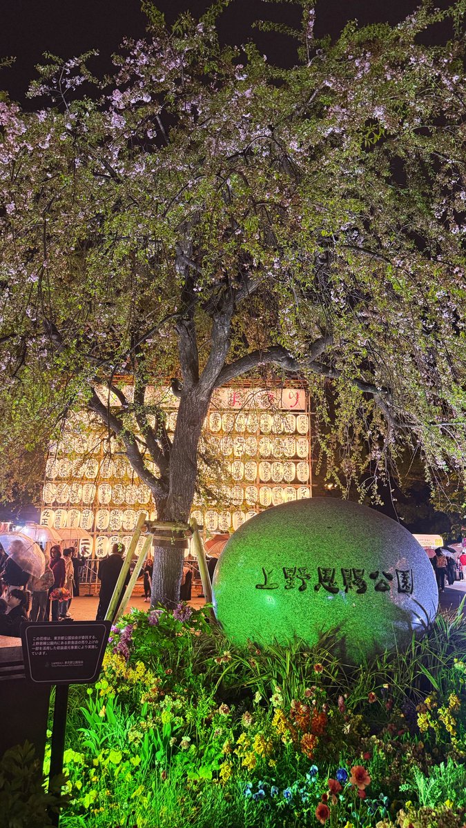 たくや tweet media