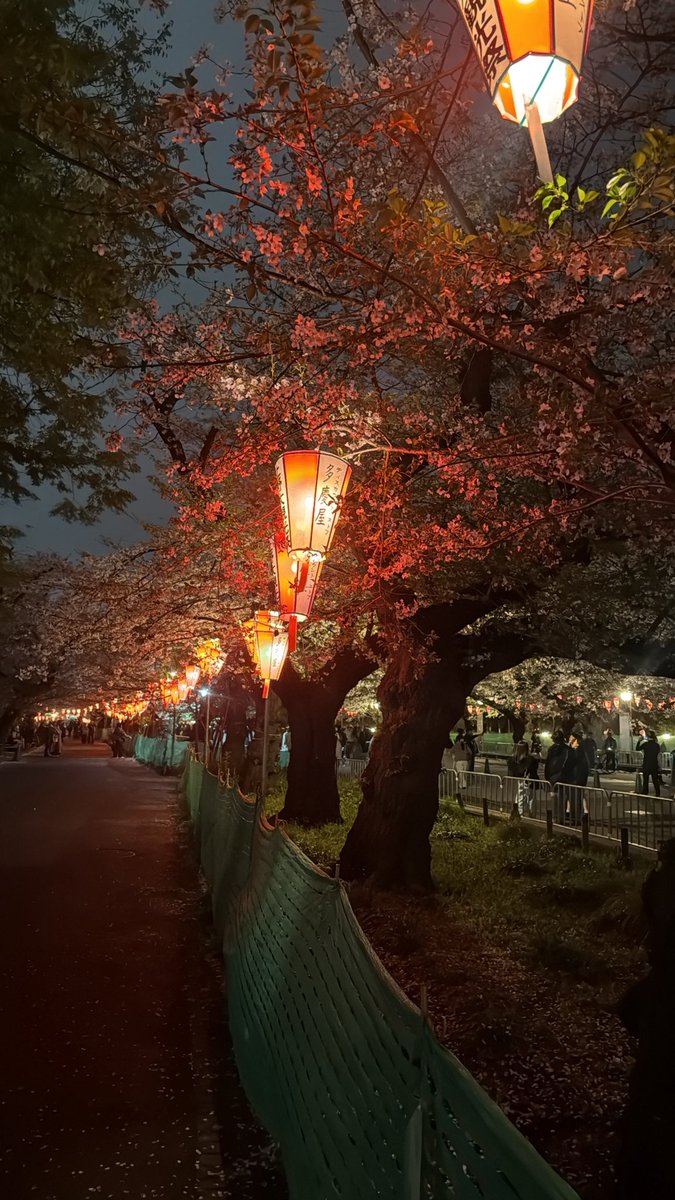 たくや tweet media