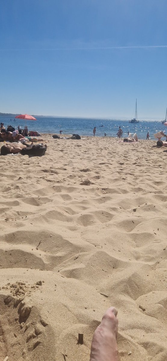 🍀 🏴󠁧󠁢󠁳󠁣󠁴󠁿 tweet media