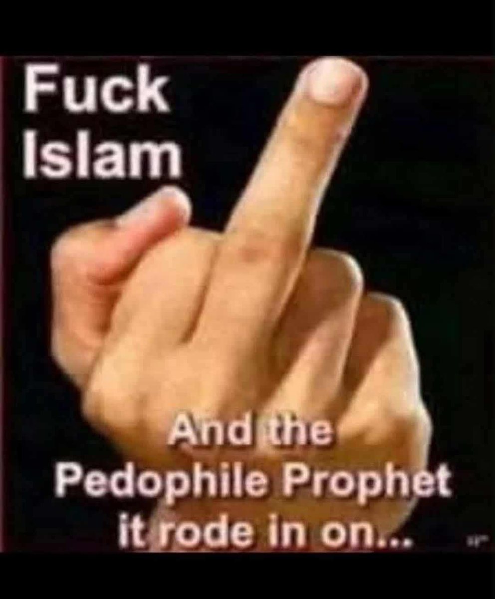 Scali73-511 tweet media